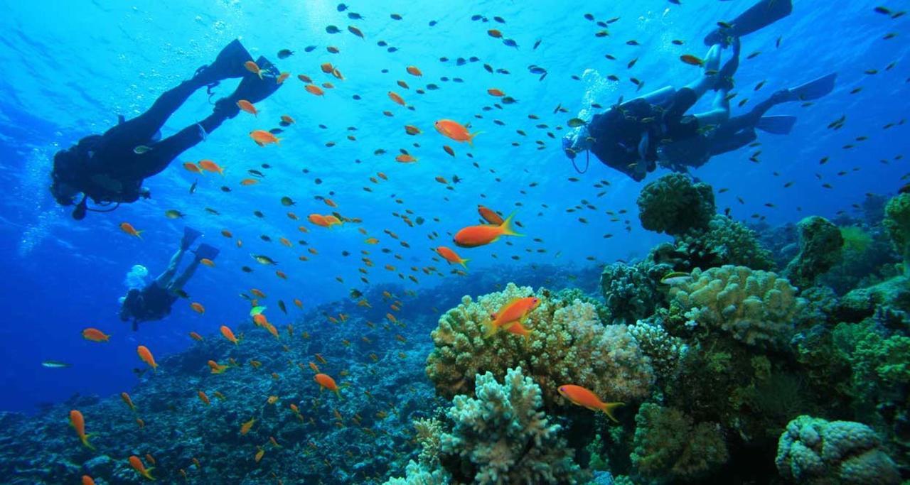 Amora Villa Gili Trawangan Kültér fotó