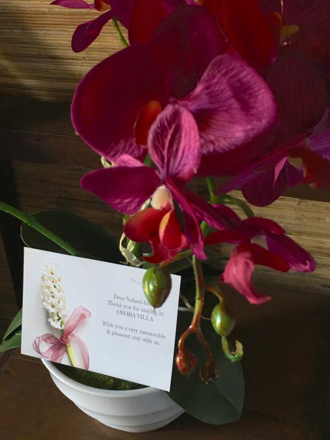 Amora Villa Gili Trawangan Kültér fotó